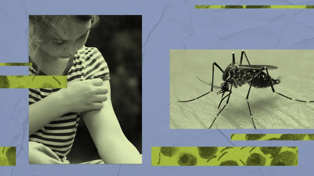 America is seeing an increase in dengue cases.