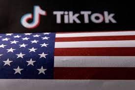 TikTok users in the US are urged to call legislators to oppose the ban.