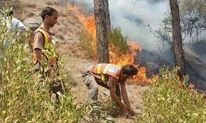 CM for taking all possible steps to extinguish fire in Soon Valley forests